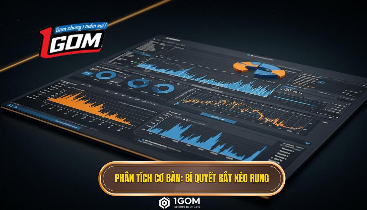 Phân Tích Cơ Bản Nền Tảng Của Mọi Bí Quyết Bắt Kèo Rung Nhanh